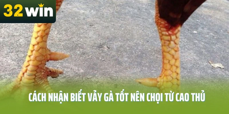 78-vay-ga-tot-nen-choi-32win-cach-nhan-biet