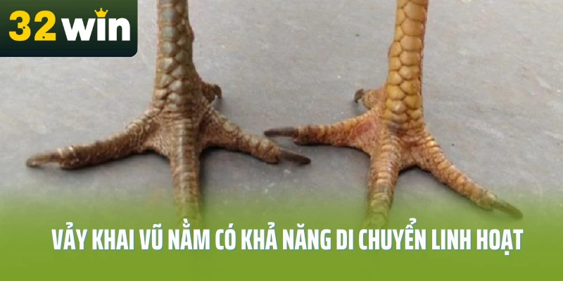 78-vay-ga-tot-nen-choi-32win-chia-se-vay-khai-vu
