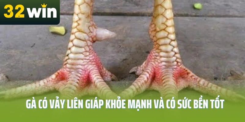 78-vay-ga-tot-nen-choi-32win-vay-lien-giap