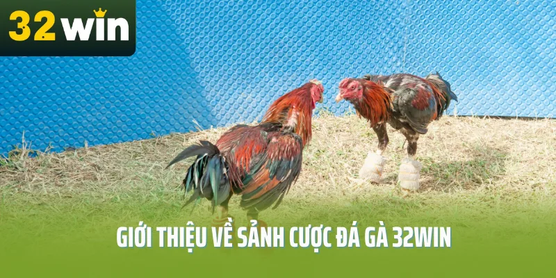 Gioi-thieu-ve-sanh-cuoc-da-ga-32Win