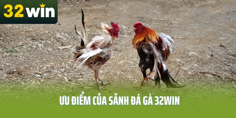 Uu-diem-cua-sanh-da-ga-32Win