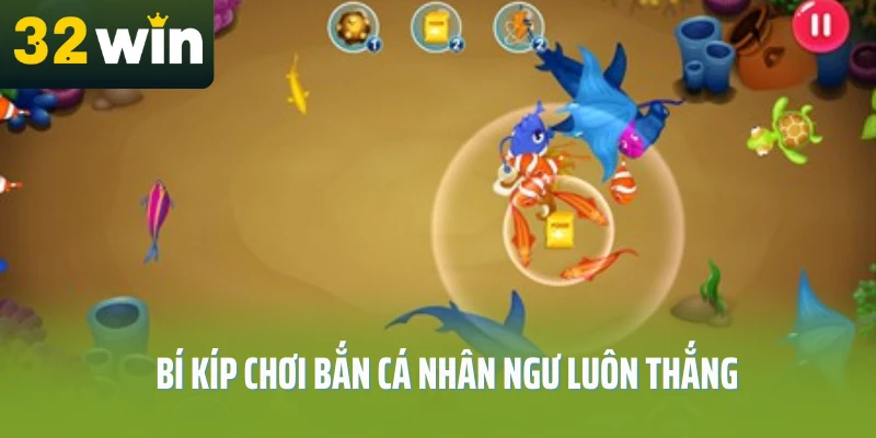 ban-ca-nhan-ngu-bi-kip
