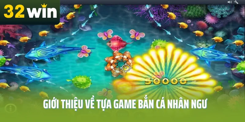 ban-ca-nhan-ngu-gioi-thieu