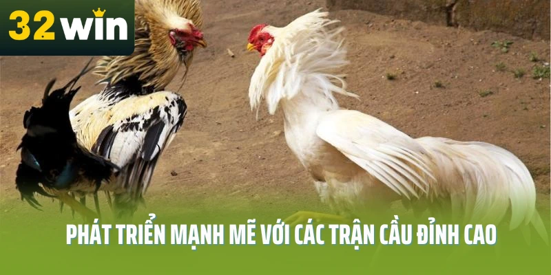 da-ga-choi-c1-32win-phat-trien