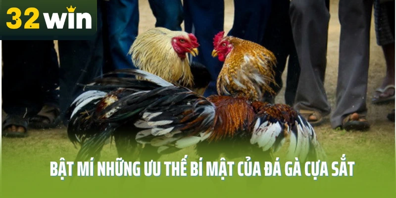 da-ga-cua-sat-32win-bat-mi