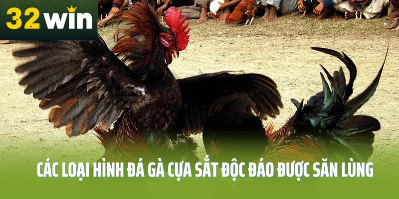 da-ga-cua-sat-32win-diem-ten