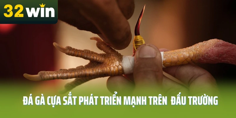 da-ga-cua-sat-32win-phat-trien