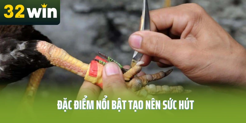 da-ga-don-truc-tiep-thomo-32win-dac-diem
