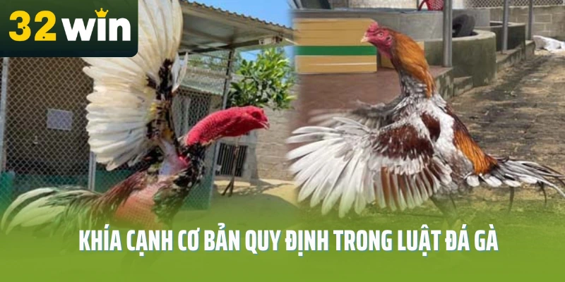 luat-da-ga-32win-khia-canh
