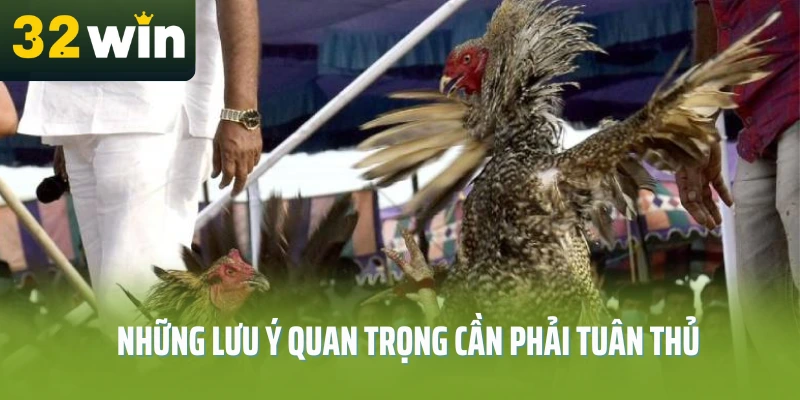 luat-da-ga-32win-nhung-luu-y