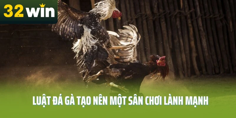 luat-da-ga-32win-y-nghia