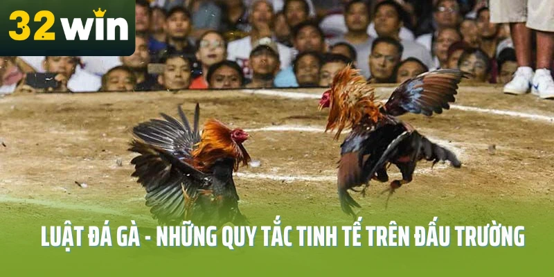 luat-da-ga-32win